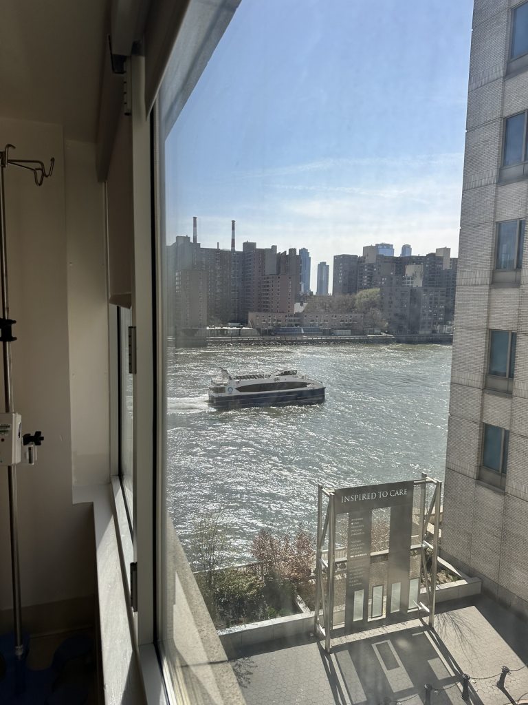 Wanda Font in the photo 1