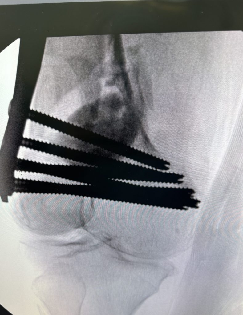 Carol Kramer in the photo 1