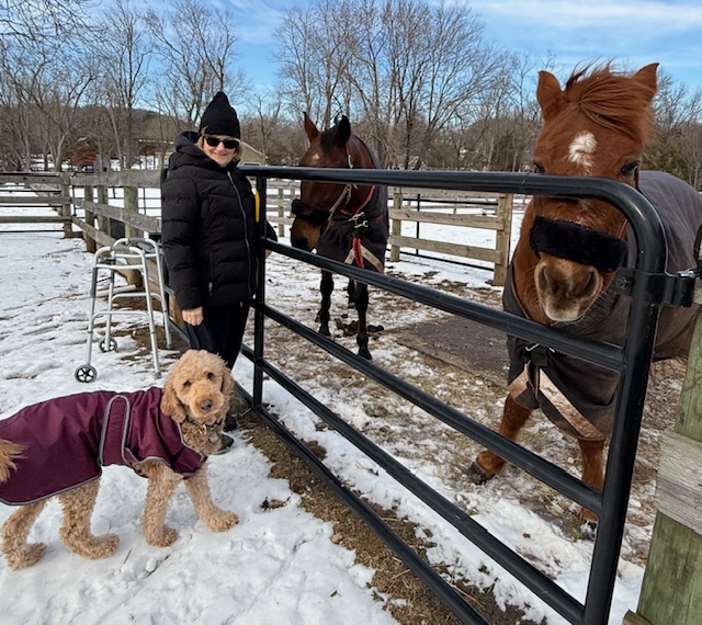 Michele Rickles in the photo 2