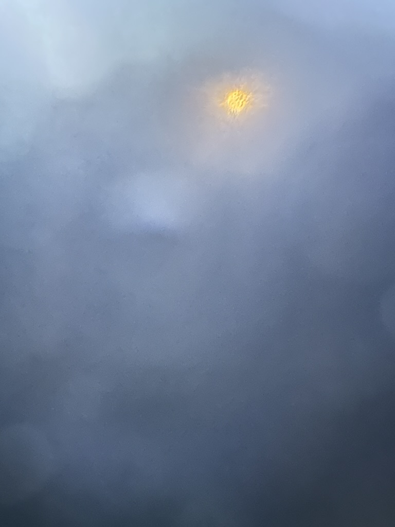 Stacy H. in the photo 1